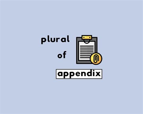 What's the Plural of Appendix? Appendixes or Appendices?