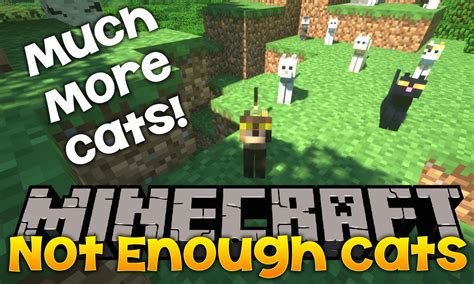 Not Enough Cats Mod 1.12.2, 1.11.2 (New Cat Types & Spawning Behavior) - Mc-Mod.Net