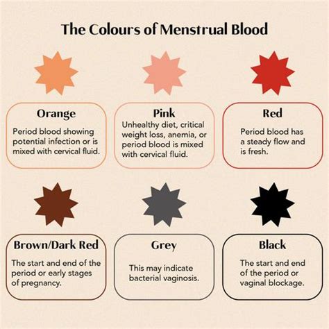 Why is my period blood brown? in 2024 | Preventative health, Period ...