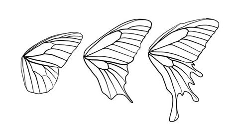 Free Butterfly Wings Cliparts, Download Free Butterfly Wings Cliparts ...