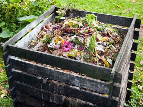 The secret to a successful compost heap - The Irish Catholic