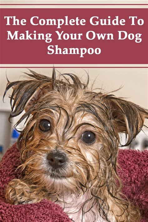 15 Homemade Dog Shampoo Recipes | Dog shampoo, Pet shampoo, Diy stuffed ...