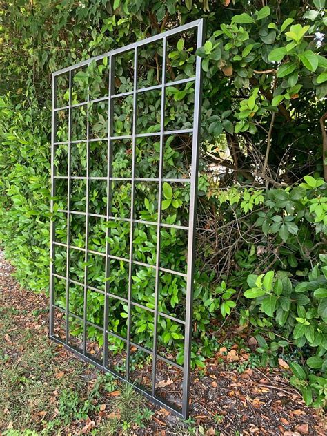 Large Multi Sizes, Classic Metal Garden Outdoor Trellis, Wall Mounted ...