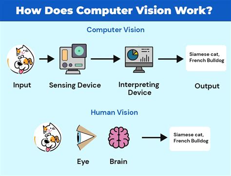 Computer Vision: A Complete beginner's Guide