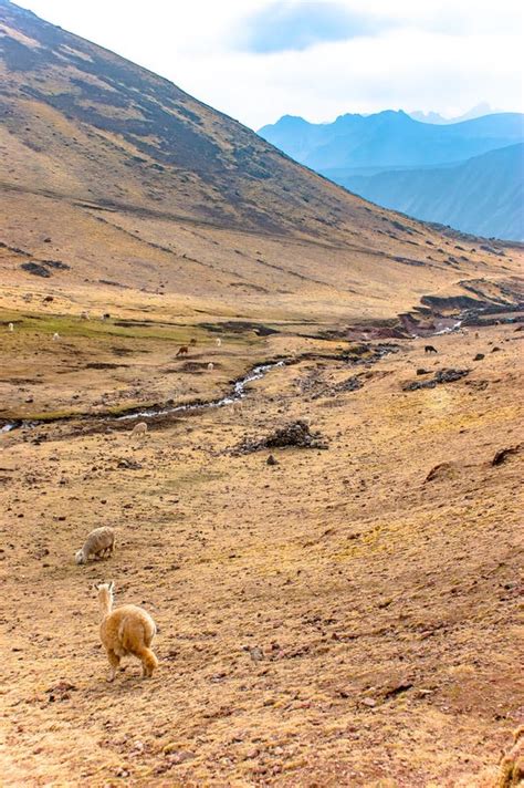 Peruvian Andes Amazing Trekking Day South America Stock Photo - Image ...