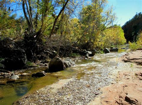 Cibecue Creek, Arizona | Shorelines, Beaches, Feathers and Floating