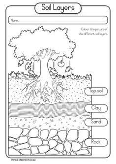 layers of soil worksheet - Google Search | Science worksheets, Soil ...