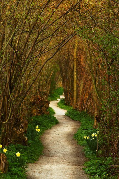 √ Leiden Netherlands Nature