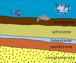 Sedimentary Rocks - The Three Types of Rocks