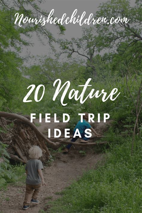 20 Nature Field Trip Ideas - | Field trip, Homeschool field trips, Homeschool nature study