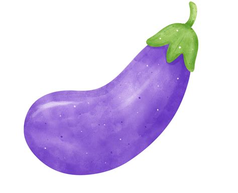 Watercolor fresh purple eggplant vegetable vibrant color hand drawing 23251728 PNG