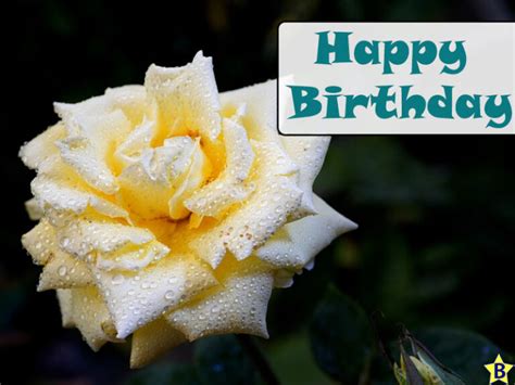 20+ Happy Birthday Yellow Roses Images And Pics