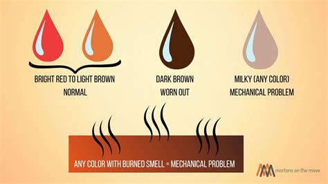 Transmission Fluid Color and Odor Warning Signs