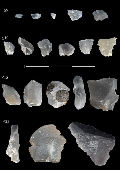 Small Flakes Reveal Evidence of Tool Use From 300,000 Years Ago