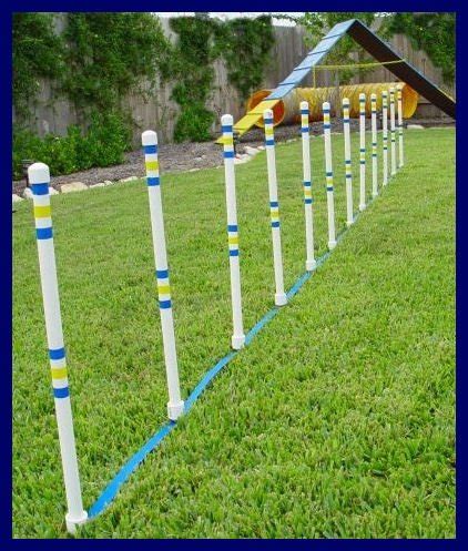 Weave Poles - Dog agility Equipment - Set of 12