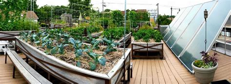 Roof Top Farm - Uncommon Ground