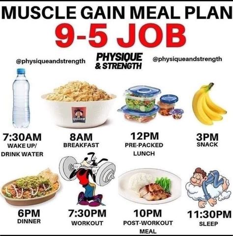 Muscle building meal plan – Artofit