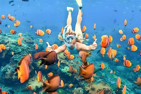 Bali Snorkeling Tour At Blue Lagoon Beach - All-Inclusive