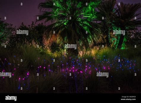 Al Noor Island, Sharjah at night Stock Photo - Alamy