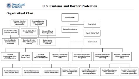 Department of Homeland Security Organizational Chart - US - Edit, Fill ...