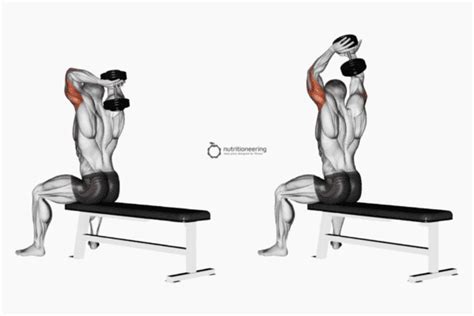 Dumbbell French Press Exercise Guide - Standing or Seated