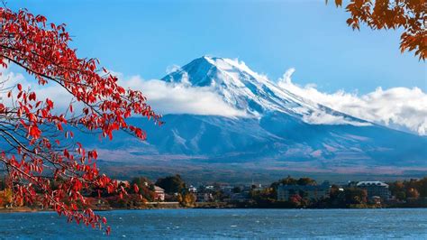 Mt.Fuji Viewing and Lake Kawaguchi Accessible Tour - Accessible Japan