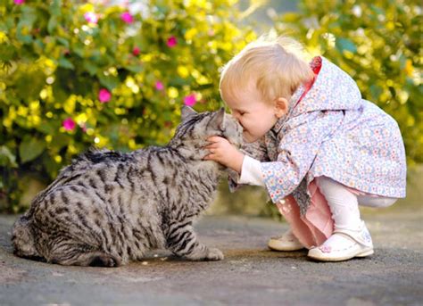 Top 3 Reasons Cats Are Like Kids | PetMD