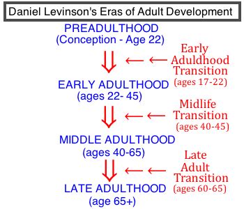 Daniel Levinson | Biography, Theory & Works | Study.com