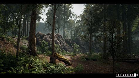 Forest Environment in Environments - UE Marketplace