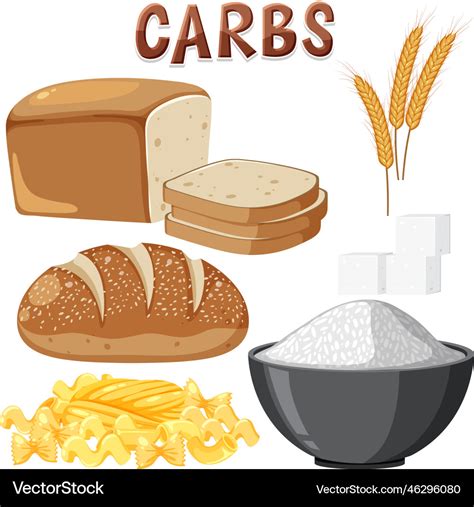 Variety of carbohydrates foods Royalty Free Vector Image