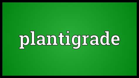 Plantigrade Meaning - YouTube