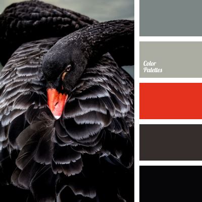 black and red | Color Palette Ideas