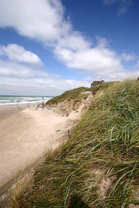 Summer in denmark: beach of loekken, | Stock image | Colourbox