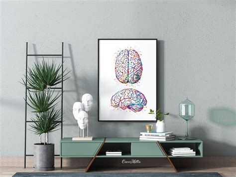 Brain Anatomy Human Brain Watercolor Print Medical Science Art | Etsy