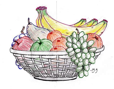 Basket Of Vegetables Drawing at GetDrawings | Free download