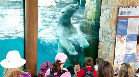 Kansas City Zoo Tours - Book Now | Expedia