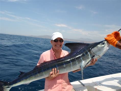 Striped Marlin - Picante Sportfishing