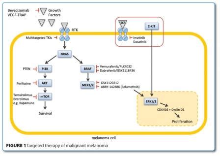 Targeted therapy in metastatic melanoma