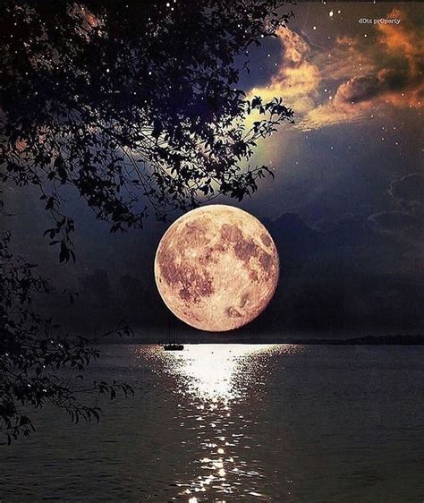 Happy Full Moon - May Our Dreams Be Blessed | From the Trenches World ...