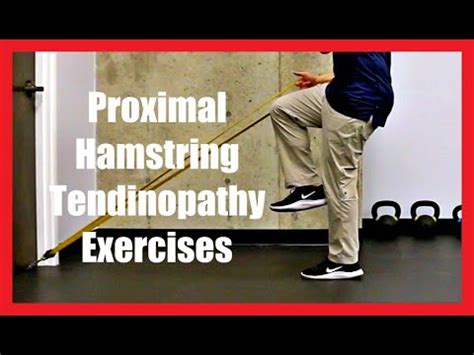 Proximal Hamstring Tendinopathy Exercises - YouTube