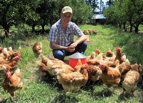 Certified organic, pasture-based, poultry production – AgriOrbit