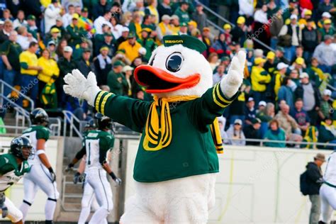 Pmages: oregon duck | Oregon Ducks Mascot Puddles at Autzen Stadium ...