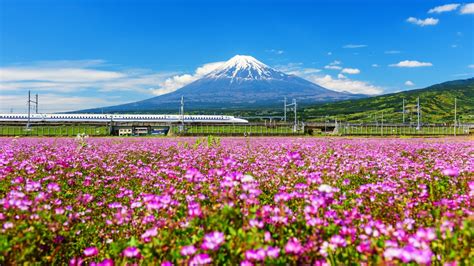 Places in Japan Where the Locals Hang Out! - Japan Rail Pass