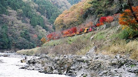 Sagano Romantic Train Ticket in Kyoto, Japan - Klook