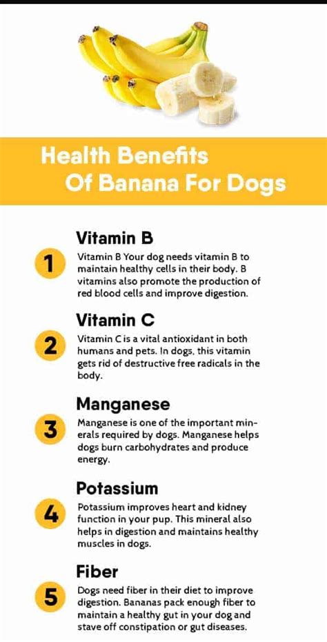 Can Dogs Eat Banana Peels - Do They Get Sick? } ZooAwesome