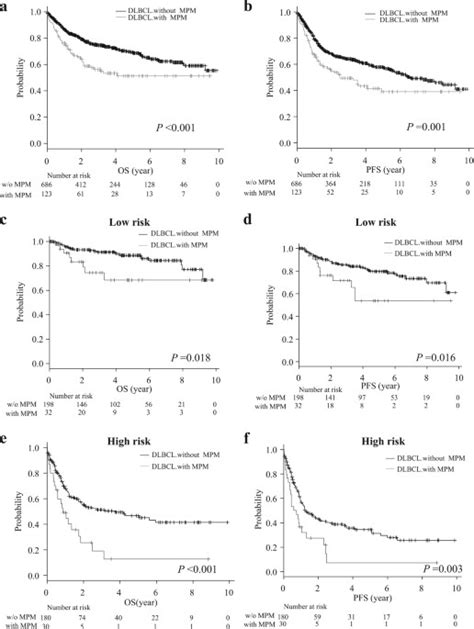 Prognostic impact of a past or synchronous second cancer in diffuse large B cell lymphoma ...