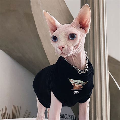 Cotton Hairless Cat Clothes Sphynx Cat Clothing Hooded Smile - Etsy