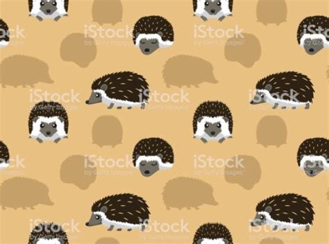 Cute Hedgehog Wallpaper - Hedgehog (#2972928) - HD Wallpaper ...