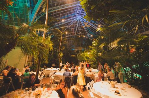 Get married under the palms! Wedding in the Palm House, Franklin Park Conservatory in Columbus ...