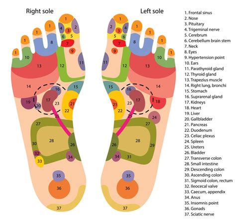 What is Reflexology? | Reflexology Pages